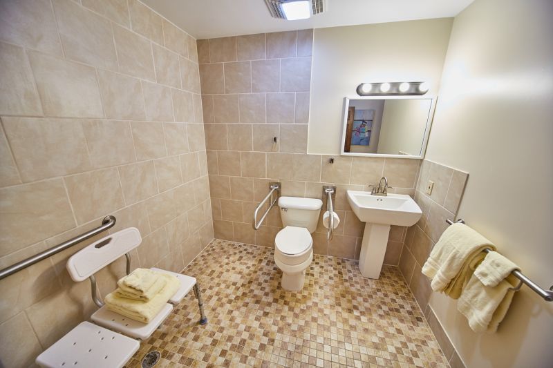 Best Bathroom Accessibility Contractors in Battle Creek, MI